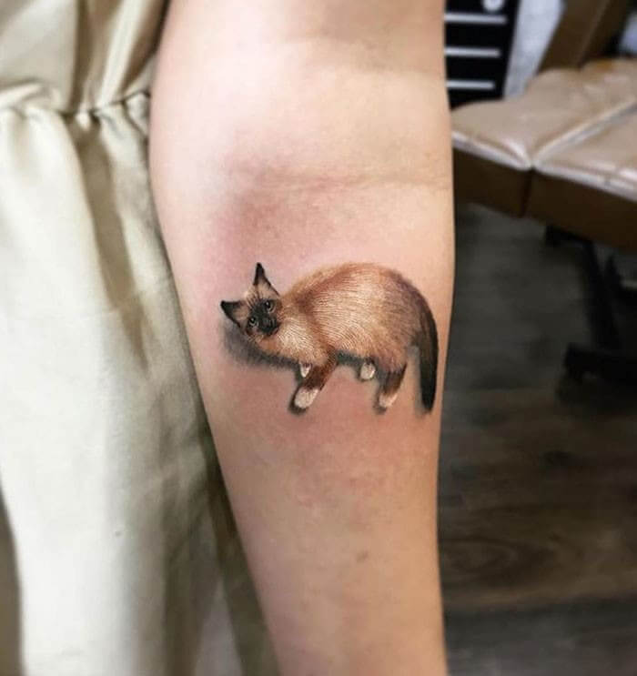 57 Tatuagens 3d que me impressionaram | Incrível | cuidados pré-tatuagem, preparação para tatuagem, segurança em tatuagens, tatoo, tatuagem 3d, tatuagens 3D