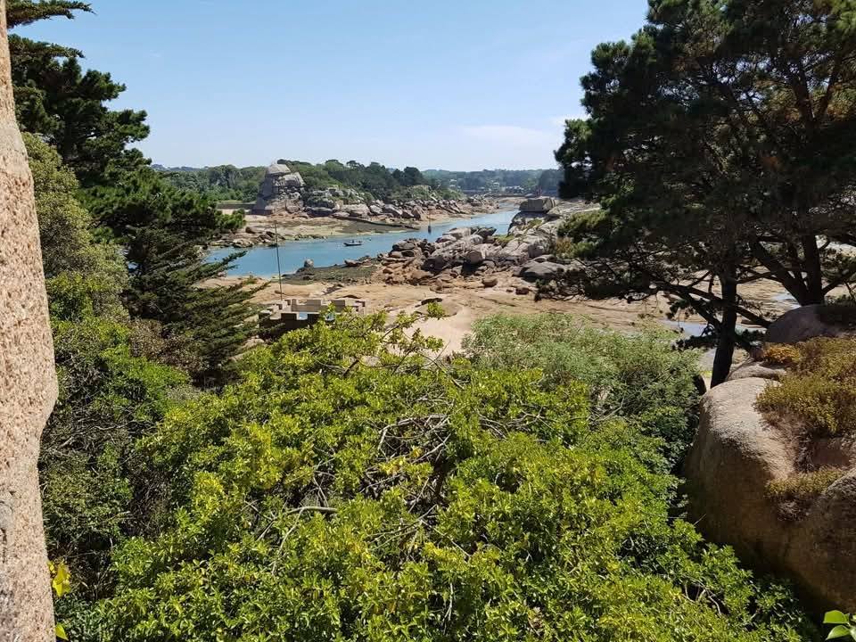 Melhor que um castelo e que uma ilha? Um castelo na ilha 473533940 591206837041471 8279978062885429580 n | Arquitetura | arquitetura, castelo, curioso, lugares