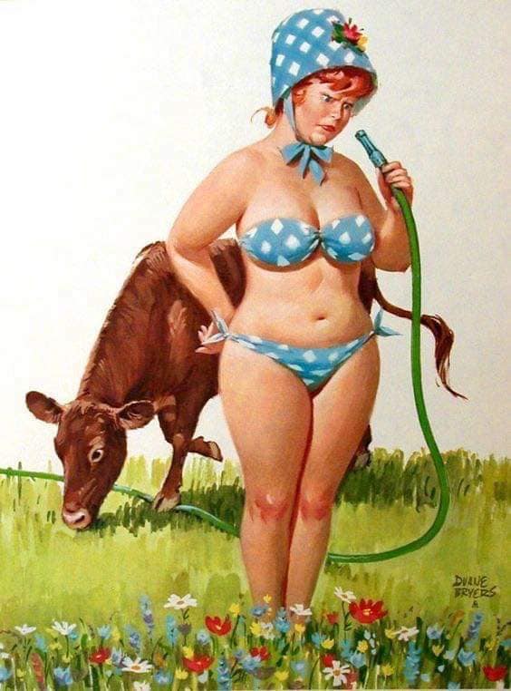 Hilda, a pin-up gordinha que o mundo aprendeu a amar 70296219 2507877772769459 645310559822020608 n | Arte | Arte, duane bryers, ilustração, pin-up, pintura