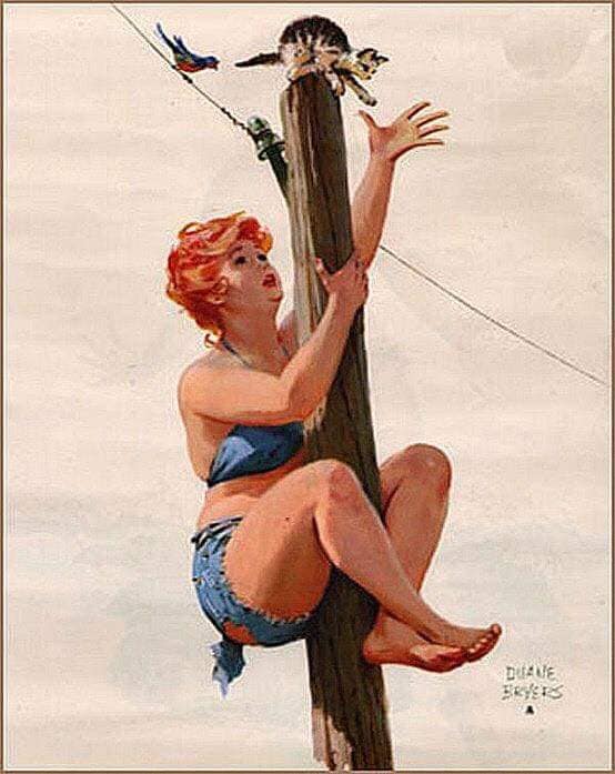 Hilda, a pin-up gordinha que o mundo aprendeu a amar 71579341 2507877522769484 2264885453754728448 n | Arte | Arte, duane bryers, ilustração, pin-up, pintura