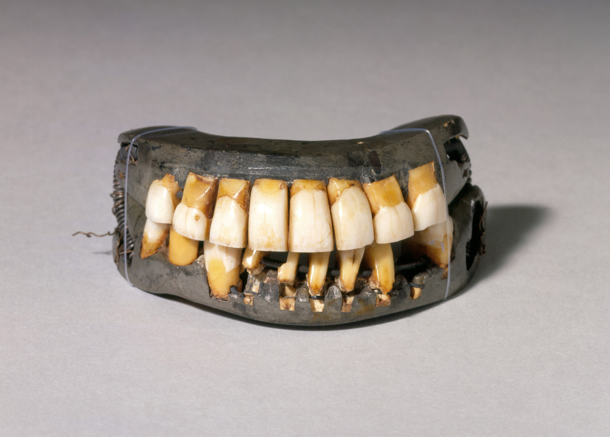 O remédio que faz renascer os dentes perdidos a dentadura de Washington