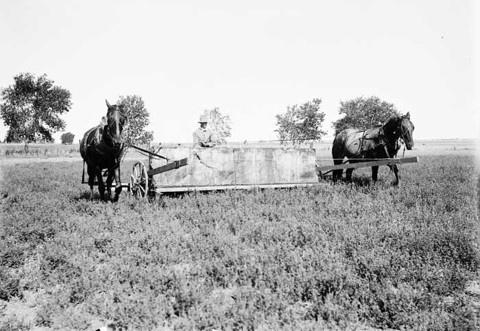 Gafanhotos: Da explosão populacional à extinção O Hopperdozer