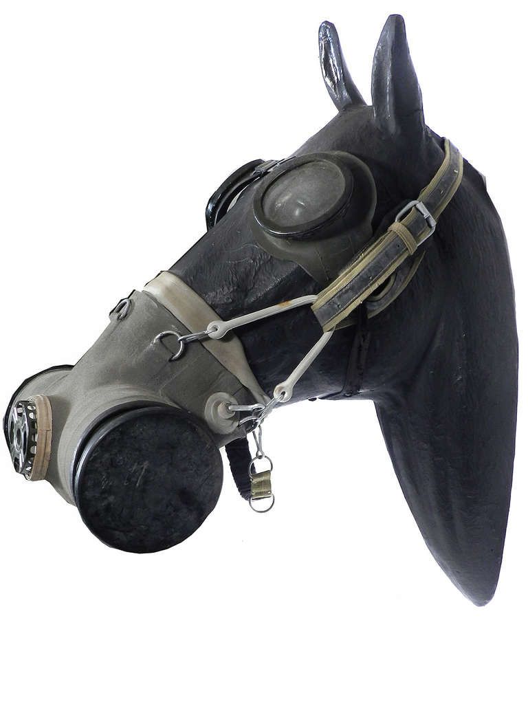 Névoa misteriosa causa pânico: Arma química? Máscara de gás para cavalos na Primeira guerra mundial