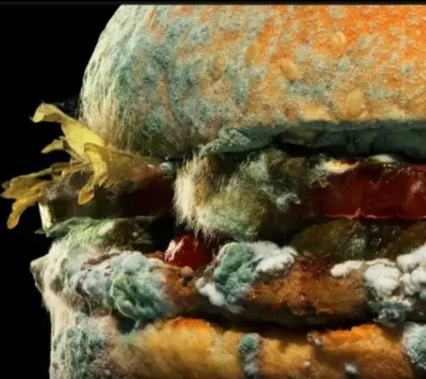 O dia que o Burger King mostrou seu sanduíche mofado na propaganda O sanduíche mofado na propaganda do Burger King