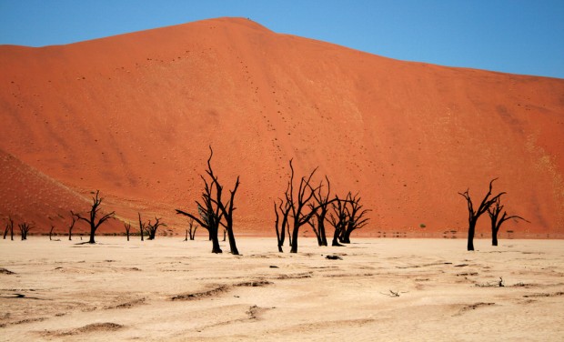 Deadvlei Namib Desert Namibia 620x376 1 | Lugares | Lugares