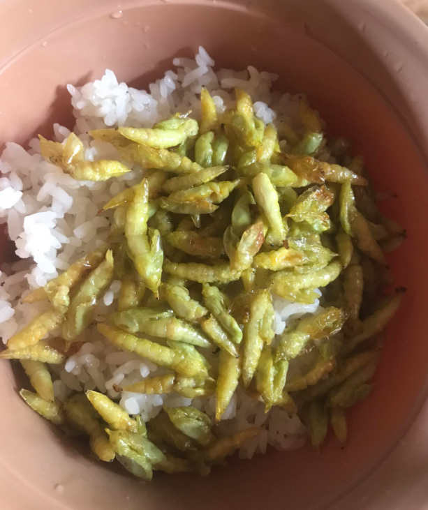 Prato nojento: Lagartas fritas do Vietnã lagartas fritas