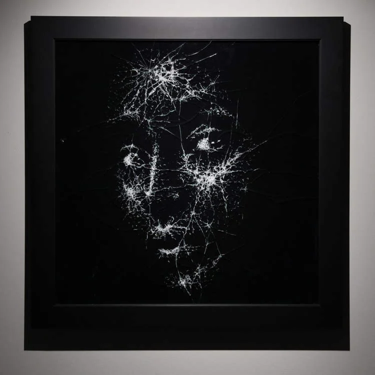 Retratos de vidro Niall Shukla cracked glass | Arte | Arte, incrível, retratos, vidro