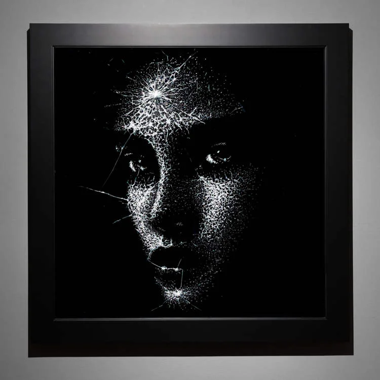 Retratos de vidro Niall Shukla cracked glass2 | Arte | Arte, incrível, retratos, vidro