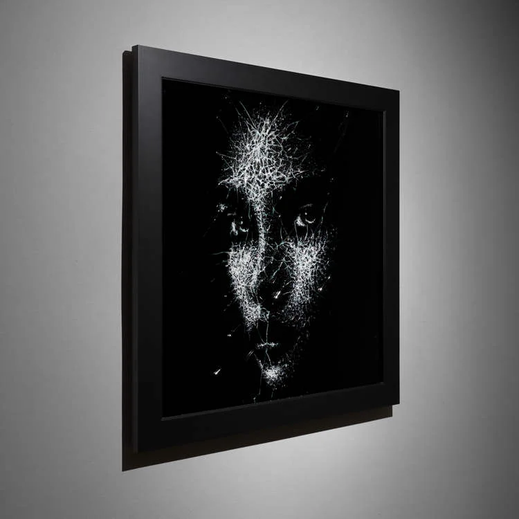Retratos de vidro Niall Shukla cracked glass3 | Arte | Arte, incrível, retratos, vidro