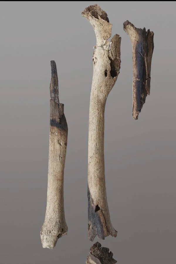 Múmias do sudeste asiático : As mais antigas? bones with burn marks | Curiosidades | bizarro, curiosidades, morte, mumias