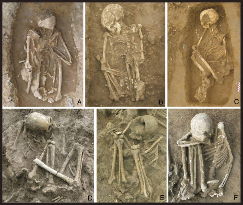 Múmias do sudeste asiático : As mais antigas? flexed burials southeast asia | Curiosidades | bizarro, curiosidades, morte, mumias