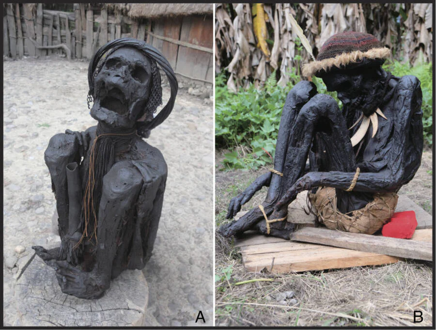 Múmias do sudeste asiático : As mais antigas? papua indonesia smoked bodies | Curiosidades | bizarro, curiosidades, morte, mumias