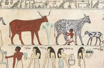 Conheça o morago Pérola Negra - O morango preto 2887 | Curiosidades | comida, curioso, morango, planta, preto, vegerais