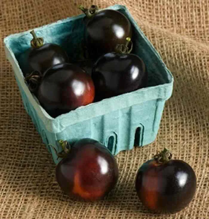 Conheça o morago Pérola Negra - O morango preto 700 black tomato indigo rose | Curiosidades | comida, curioso, morango, planta, preto, vegerais