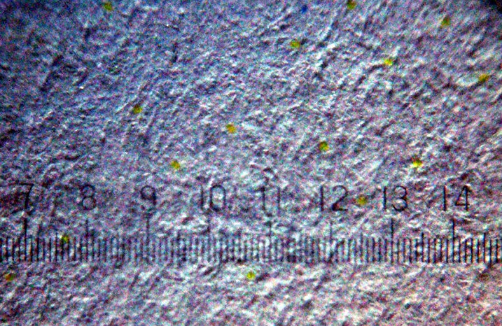 Microchip na comida: Há verdade por trás da lenda urbana? Printermarkrp | Textos | autoridades, conspiração, microchip, rastraeamento social, teoria da conspiração, Textos