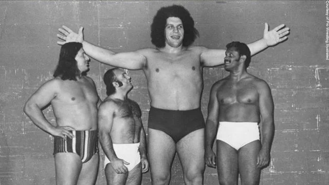 André o gigante: Ídolo da luta livre André o gigante: Ídolo da luta livre