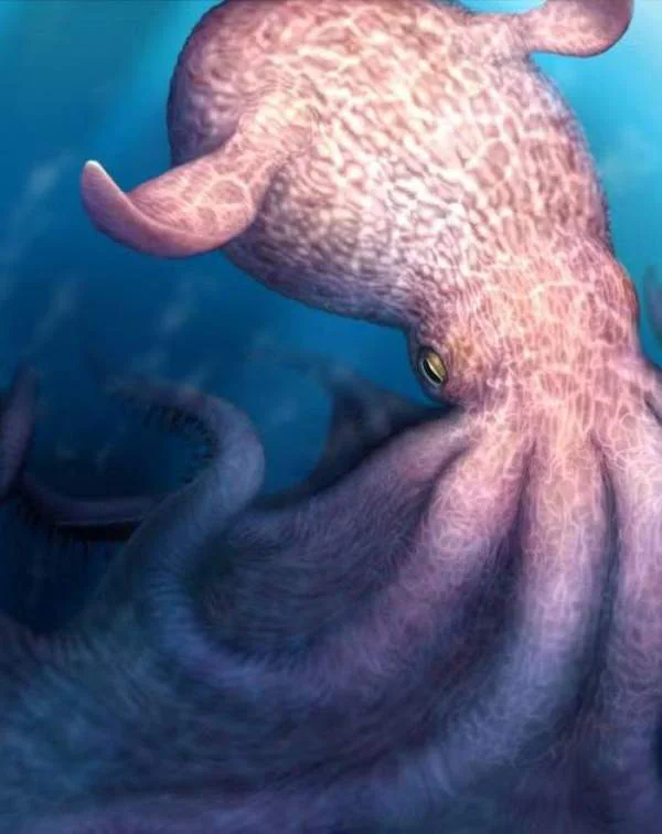 O polvo-monstro que dominou os oceanos no passado c7t51 7ec9dd8603ceea90b3df | Animais | curiosidades, monstros, polvo