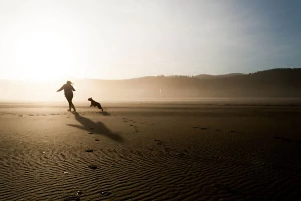 foundry beach 863139 1 | Curiosidades | animais, cachorro, curiosidades, negócios