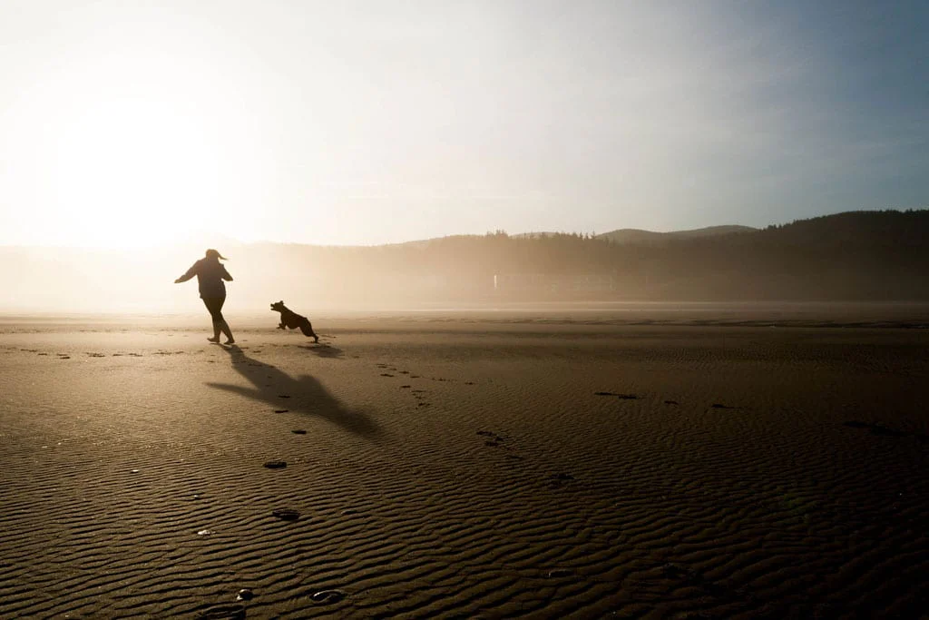 foundry beach 863139 1 | Animais | animais, cachorro, curiosidades, negócios